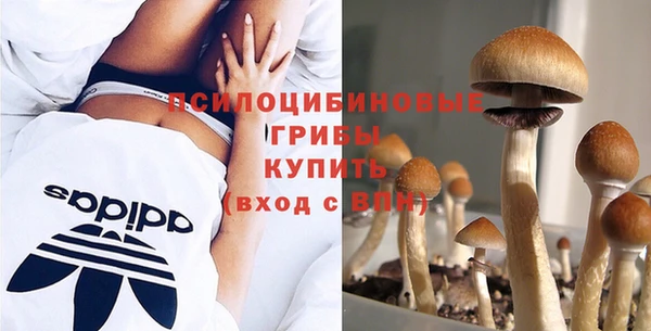 COCAINE Вяземский