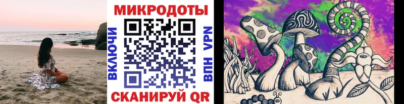 закладка  omg ссылка  Галлюциногенные грибы Psilocybe  Орск 